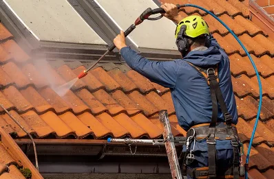 Démoussage et hydrofuge de toiture à Sauchay